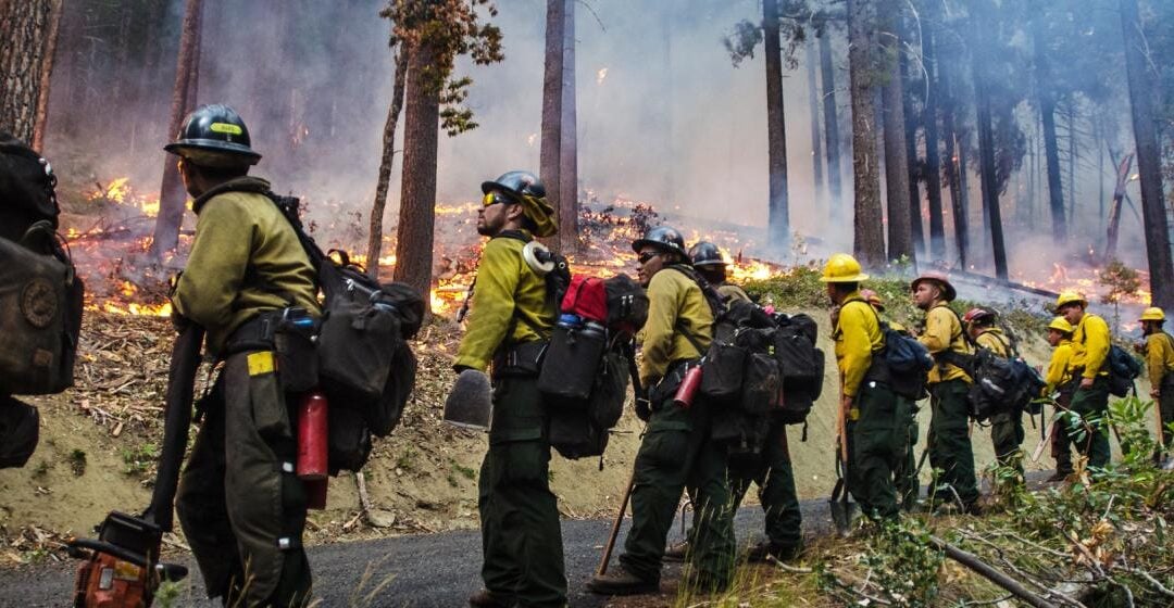 Real-Time Wildfire Monitoring: How Cutting-Edge Imaging Tech Can Prevent Catastrophe & Support Firefighters