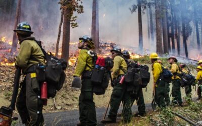 Real-Time Wildfire Monitoring: How Cutting-Edge Imaging Tech Can Prevent Catastrophe & Support Firefighters